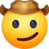 :cowboy_hat_face: