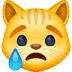 crying_cat_face