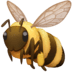 :honeybee: