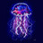 Jammyjellyfish