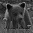 nalle